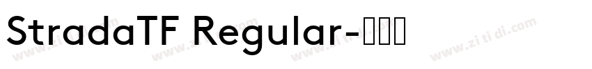 StradaTF Regular字体转换